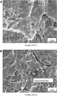 Corrosion fatigue performance of modified 17-4PH in simulated geothermal environment